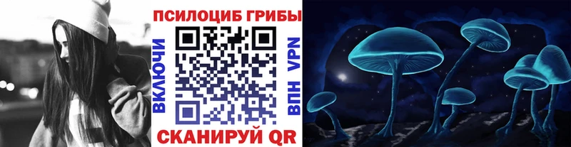 Галлюциногенные грибы Psilocybine cubensis  купить закладку  Межгорье 